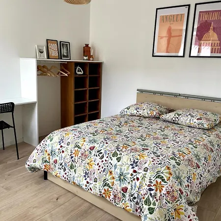 2 Pieces Situe En Face Du Jardin Massey Et Gare Accessible A Pied *