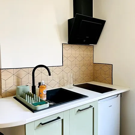 Apartment 2 Pieces Situe En Face Du Jardin Massey Et Gare Accessible A Pied